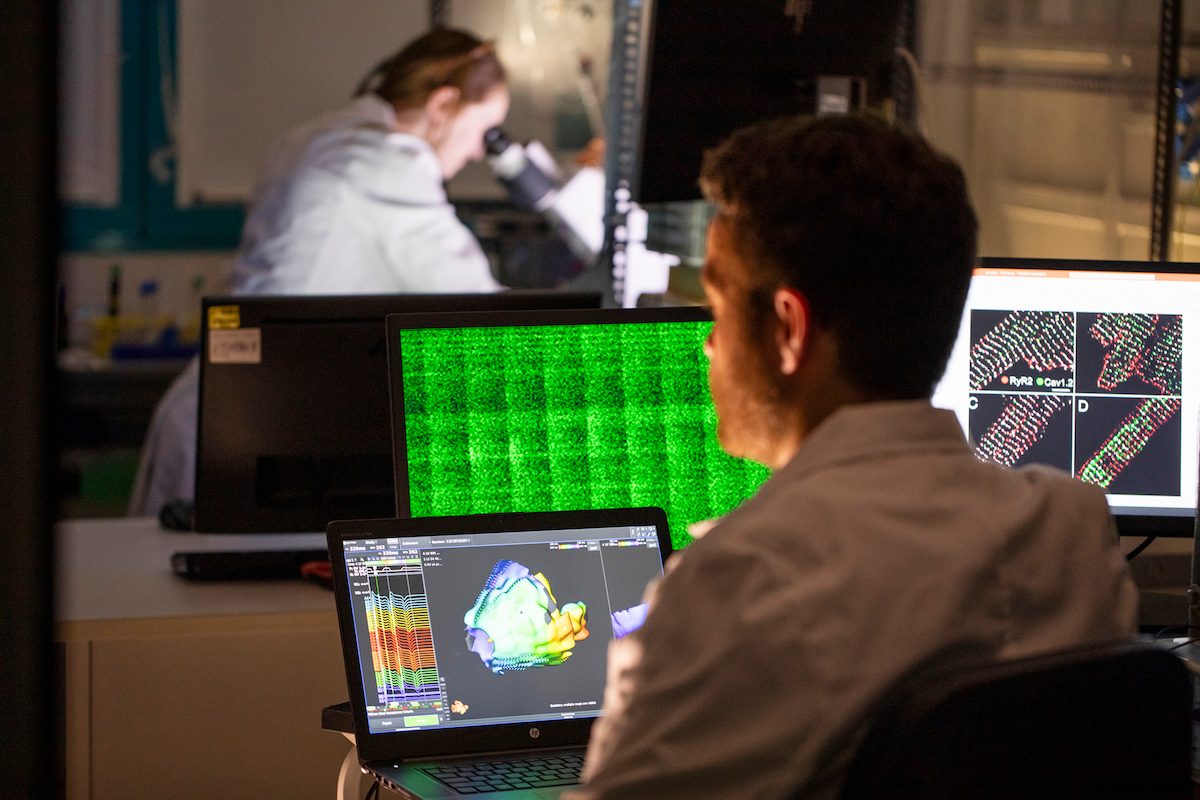 Via libera dell’FDA all’avvio degli studi clinici sull’uomo per la terapia genica rivolta al trattamento della Tachicardia Ventricolare Polimorfa Catecolaminergica, sviluppata inizialmente dal team di ricerca dalla prof.ssa Silvia G. Priori